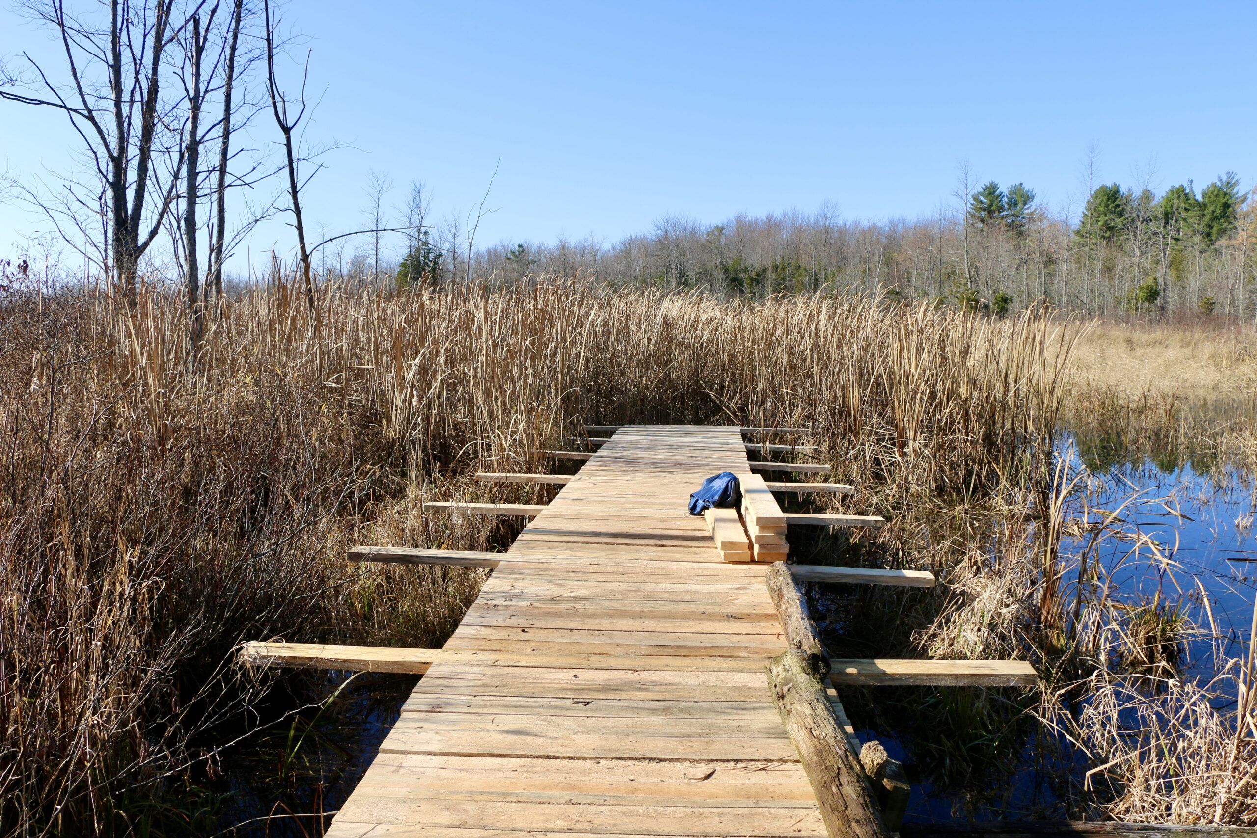 Blue Heron Trail Boardwalk Restoration